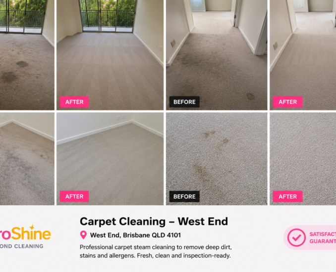 carpetcleaning (2)